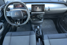 Citroën C4 CACTUS 1.6 BlueHDi 100 FEEL BUSINESS