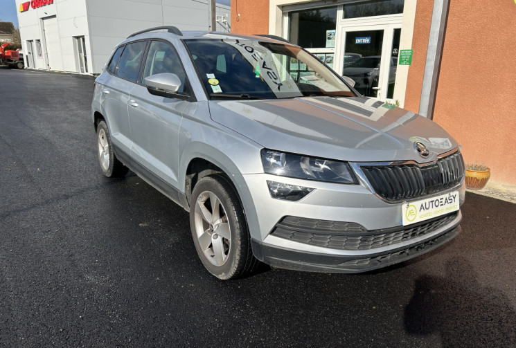 Skoda KAMIQ 1.6 TDI 4X2 business 116 cv